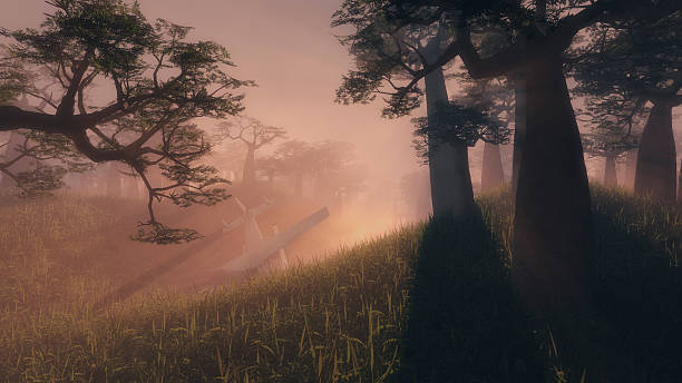 istock Glowing rays of sunlight penetrating the mist 476988684
