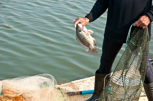 istock hands take fish out of a net 476992406