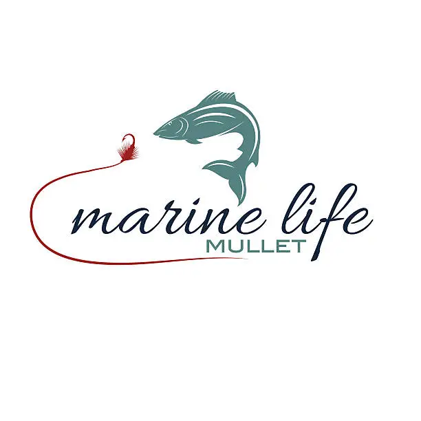 Vector illustration of illustration marine life with mullet