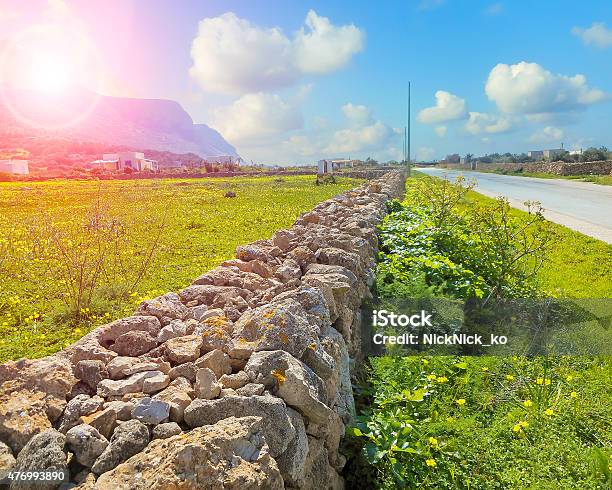 Blooming Spring Meadow On The Island Favignana Sicily Stock Photo - Download Image Now