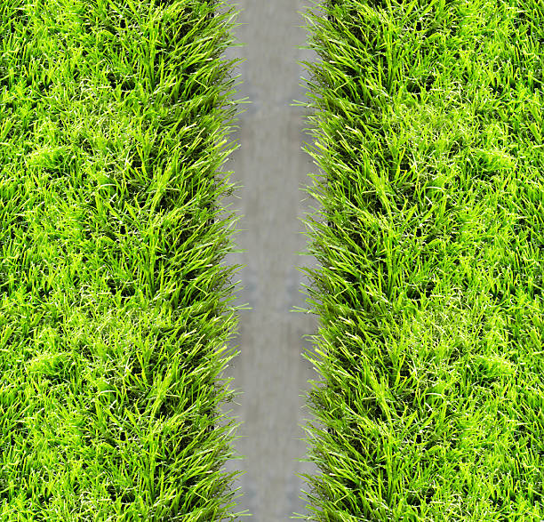 Artificial green grass background stock photo