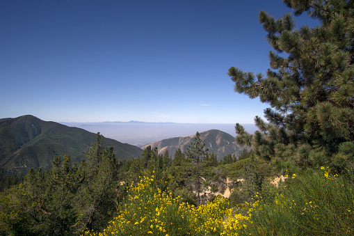 San Bernardino National Forest, Ca,USA near Big Bear Lake