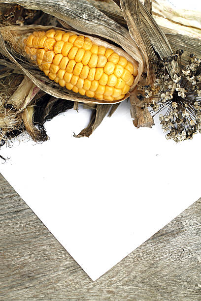 Organic Vegetables  and Notebook for Menu stock photo