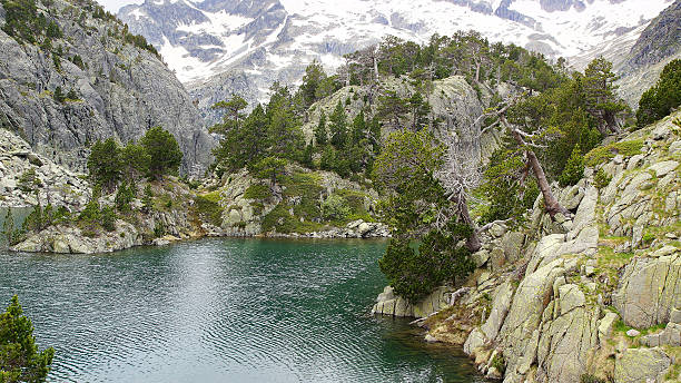 istock Picturesque nature landscape with lake. 477005502