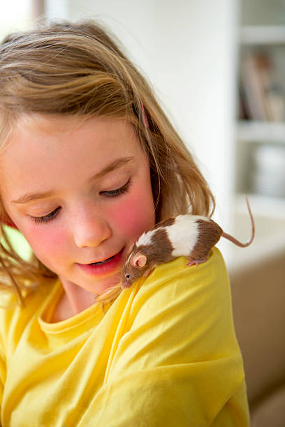 niña con su mascota ratón - fun mouse animal looking fotografías e imágenes de stock