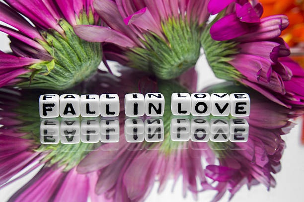 istock Fall in love with pink flowers 477006101