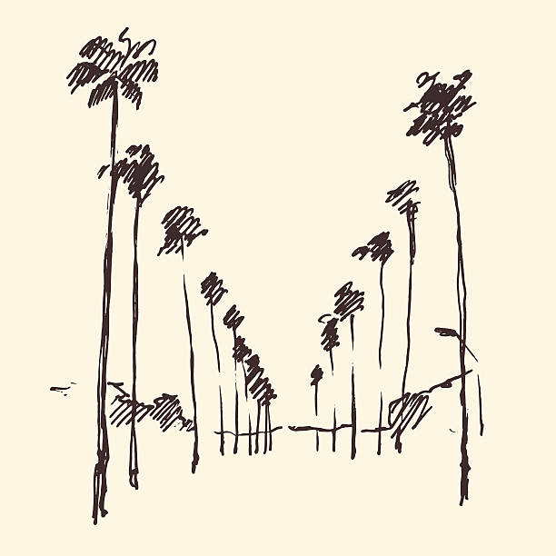 Los Angeles, California, Skyline Engraved Sketch Los Angeles California skyline engraved style hand drawn vector illustration hollywood california stock illustrations