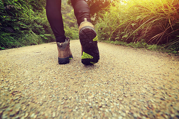 istock woman hiking on forest trail 477011026