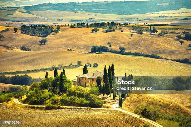 Tuscany Farmland Cypress Trees Green Fields San Quirico Orcia Italy Stock Photo - Download Image Now