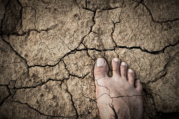 istock Naked Feet on dry Soil 477016998