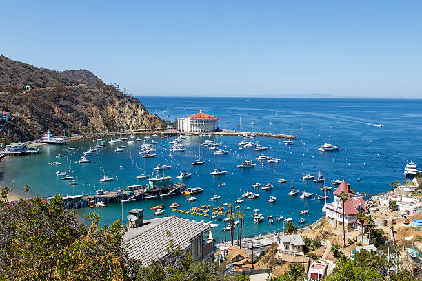 avalon harbor, isla de santa catalina - avalon california fotografías e imágenes de stock