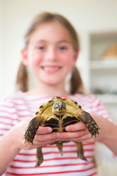 istock Little Girl with her Pet Tortoise Tommy 477020522