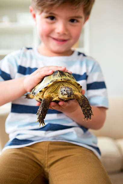 istock Little Boy with his Pet Tortoise Tommy 477020530