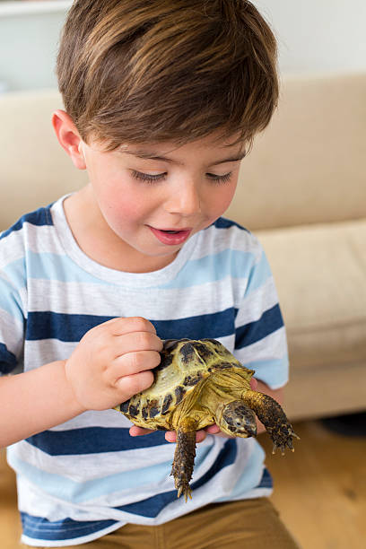 istock Little Boy with his Pet Tortoise Tommy 477020538