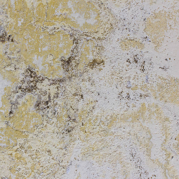 istock dirty yellow color on cement  wall 477024587