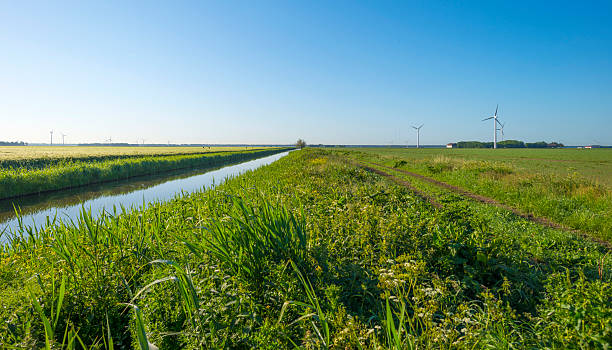 istock Canal through the countryside at dawn in spring 477025878