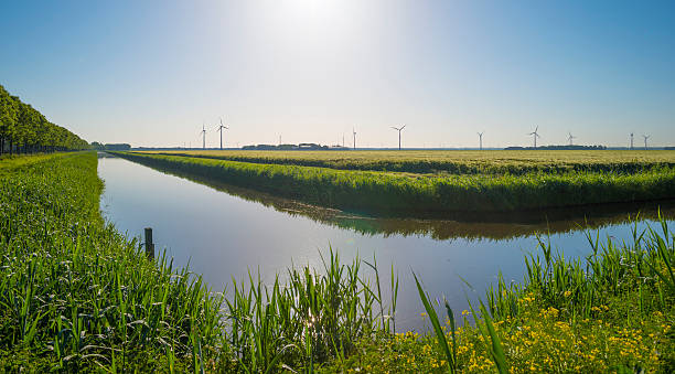 istock Canal through the countryside at dawn in spring 477025886