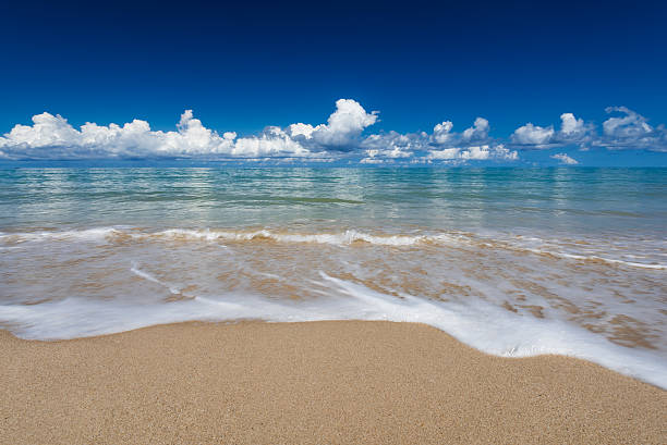 istock sea waves lash line impact on the sand beach 477028432
