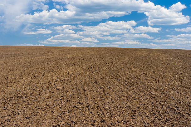 istock Ukrainian agricultural simplicity 477028494