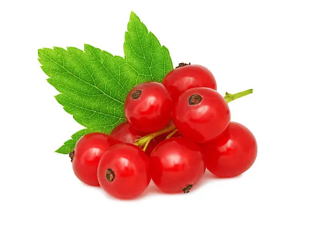 One bunch of ripe redcurrant with green leaf isolated on white background