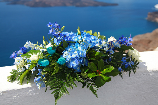 Bouquet of blue flowers on a white wall. Greece, Santorini