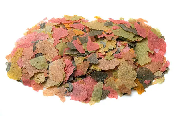 A pile of pet fish food flakes.