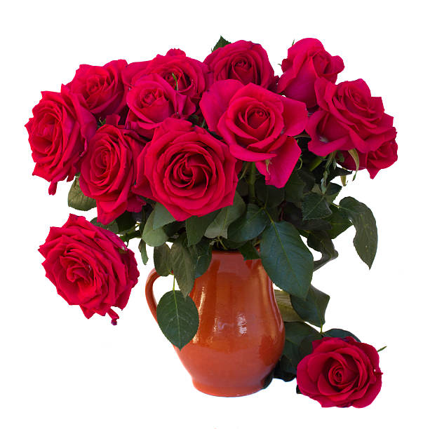 Two beatifully perfect red roses that say "I love you" for any occasion.  Plenty of copyspace for a lovely card with your message or as is.PLEASE CLICK ON THE IMAGE BELOW TO SEE OTHER LOVE & VALENTINE'S DAY IMAGES IN MY PORTFOLIO:
