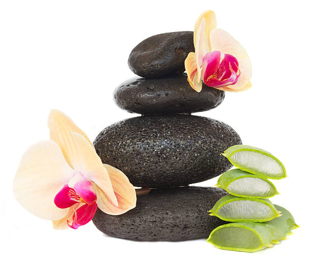 istock massage stones with aloe vera 477041060