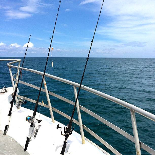 istock Fishing rods for deep sea fishing 477041962
