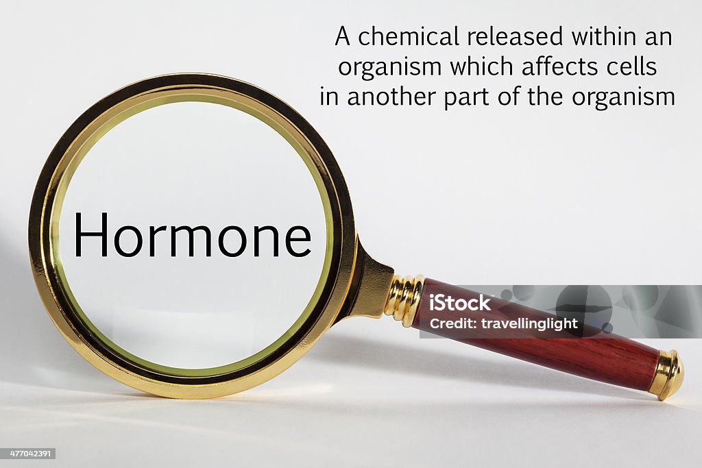 Hormone Concept Hormone Concept - looking at Hormone through a magnifying glass. Concepts Stock Photo