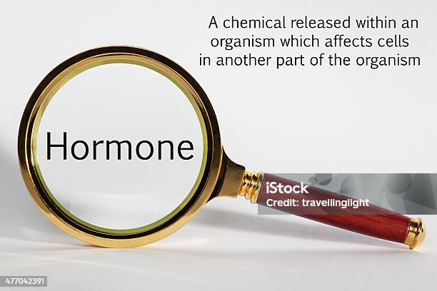 Hormone Concept Stock Photo - Download Image Now - Concepts, Concepts & Topics, Copy Space