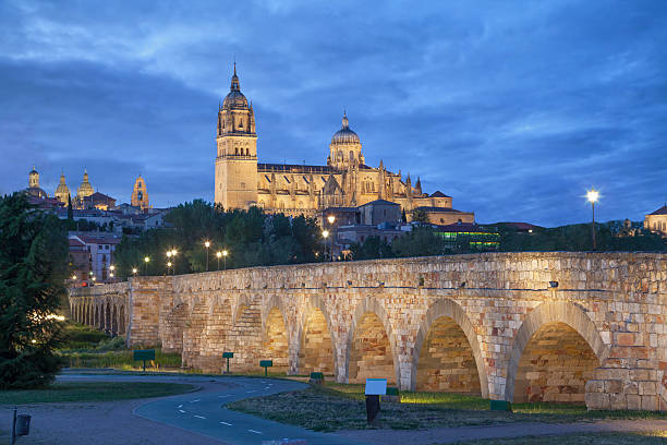 istock Romana Bridge with New Cathedral in Salamanca 477043422