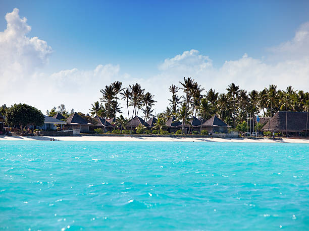istock seacoast with palm trees and small houses 477046954