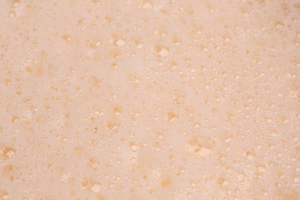 istock whipped to a froth the eggs  bowl  white background 477046974