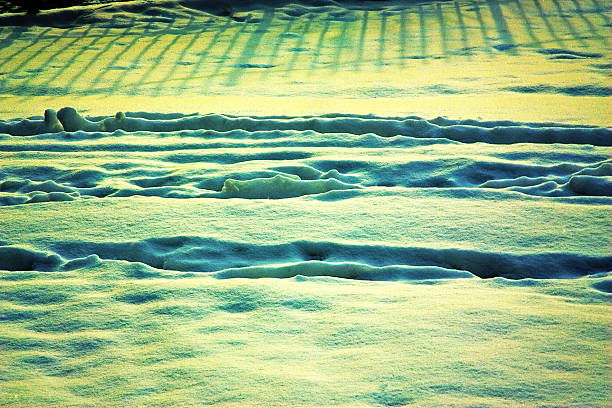 Ruts in the snow stock photo