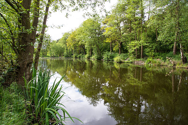 istock Lake at Cannock Chase. 477050238