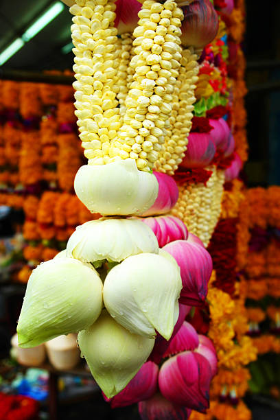 Thai Flowers stock photo