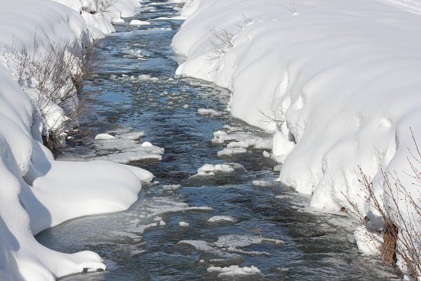 Flowing water of Carpathian mountain stream