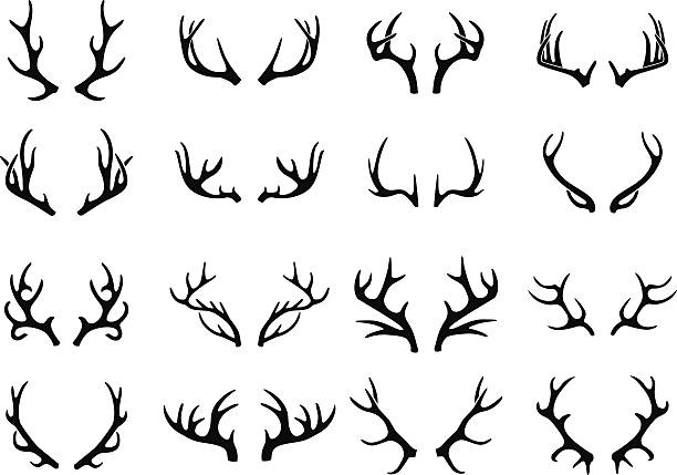 vector deer antlers black icons set - boynuzlu illüstrasyonlar stock illustrations