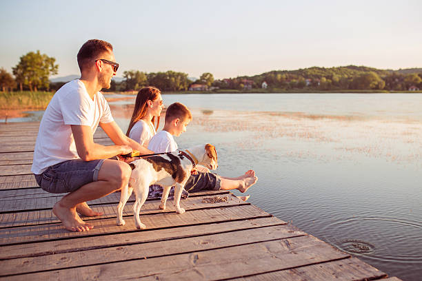 istock Family enjoyment 477053946