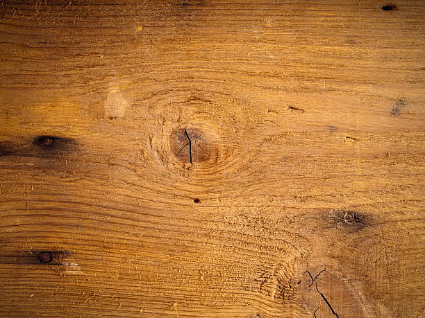 Textura de madera de teca - foto de stock