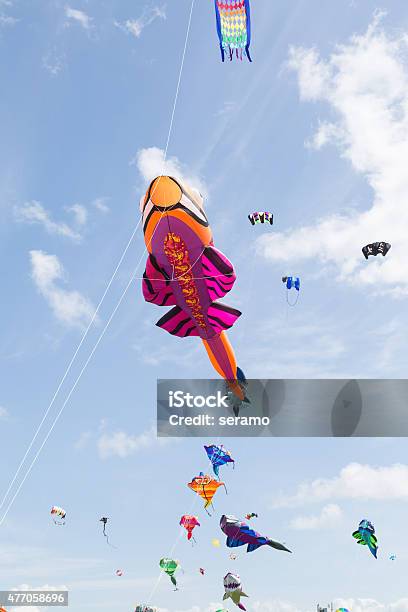 Flying Kites On The Beach Stock Photo - Download Image Now - Kite - Toy, Creativity, Music Festival