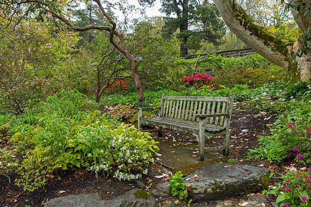 istock Old Wooden Garden Bench After a Rainfall 477058914