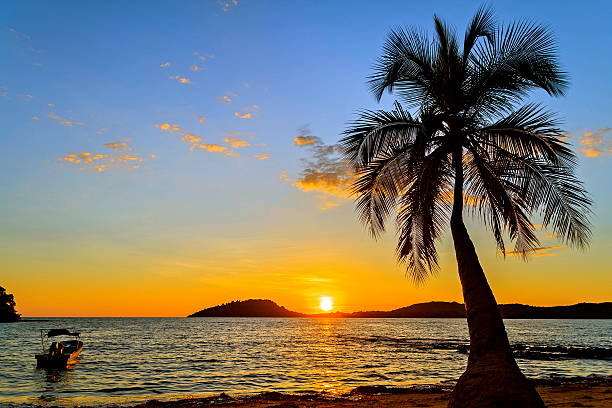 Puesta de sol en la playa de isla Nosy Be con la palma. - foto de stock