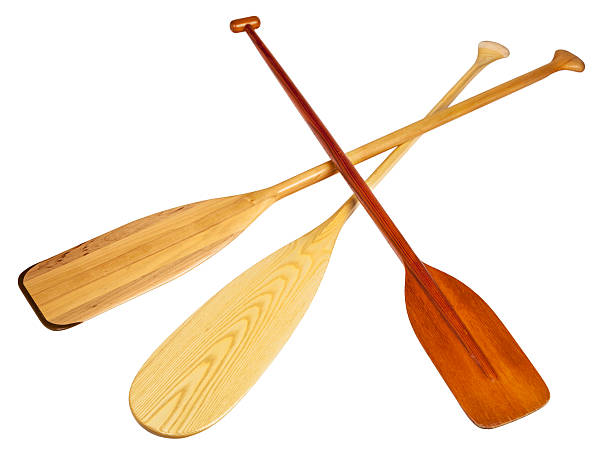 istock wooden canoe paddles 477067205