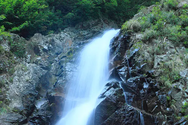 Anmon no taki (Shadow Gate Falls)  in Shirakami- Sanchi (world heritage)