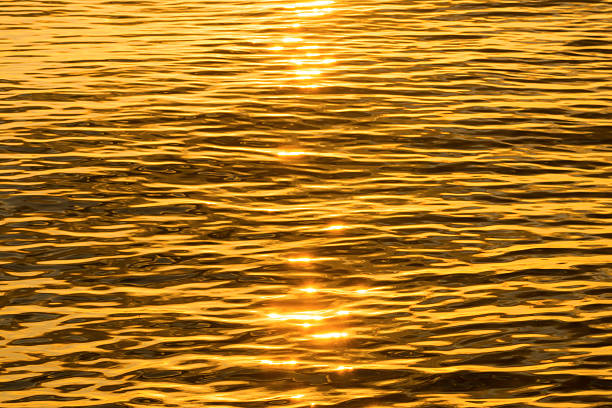 istock Gold reflective water surface of sunset on the lake. 477070968