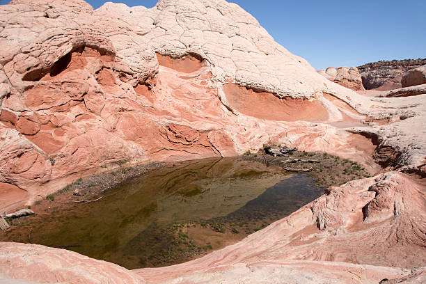 istock White Pocket Canyon, Arizona, USA 477074568