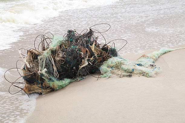 istock Tangled fishing nets on the beach 477085280