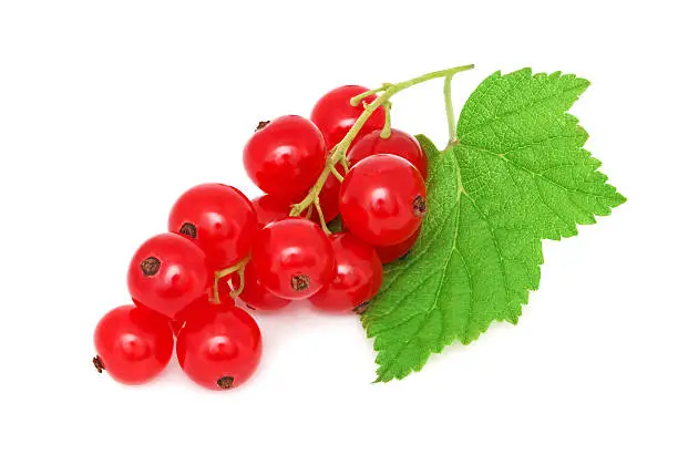 Ripe redcurrant with green leaf isolated on white background